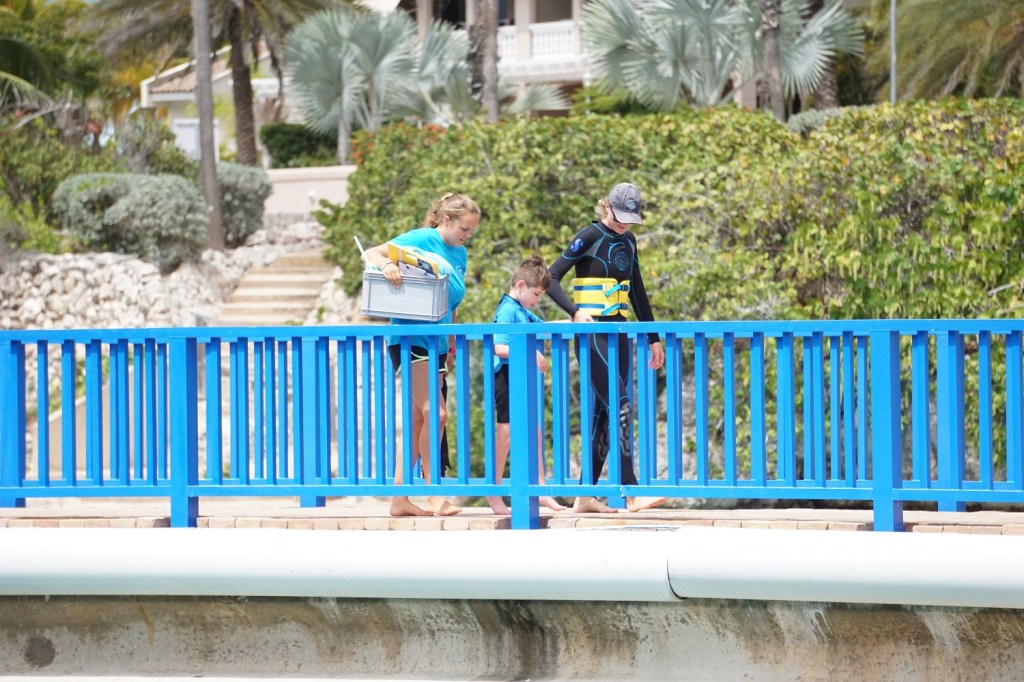 Afbeelding met hek, buiten, boom, grond

Automatisch gegenereerde beschrijving